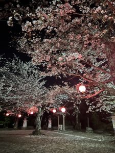 4F5F99EA-0599-4DDA-ADF3-6D019172D32E