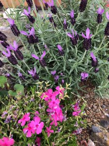 C3388011-3211-468B-8C40-F4ED460EE02E